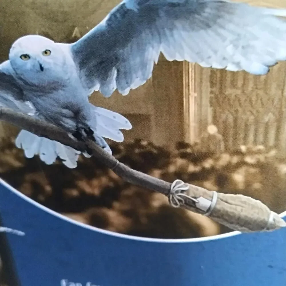 Harry-potter multi Action-figures-playsets new in box owl broom